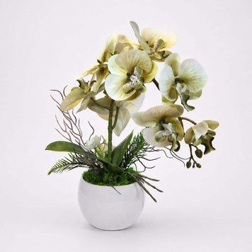 Real Touch Light Green Orchid in Ceramic Pot